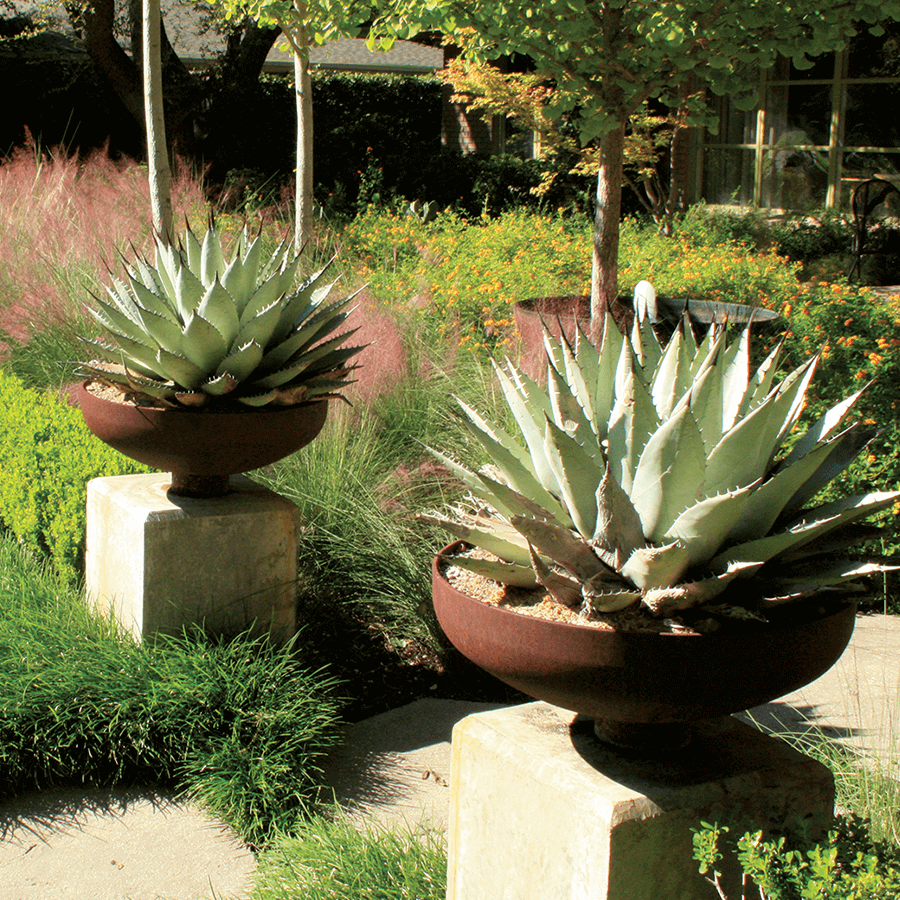 North-Dallas-Garden-Design-Estate-Grounds-Management-Bonick-Landscaping