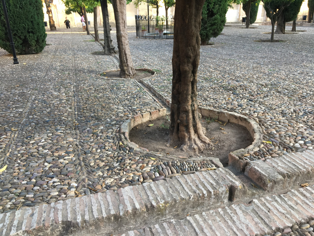 Mezquita Cathedral Courtyard, Cordoba, Spain