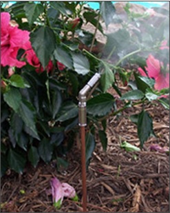 Underground mosquito control system with nozzles, similar to an underground sprinkler systerm.