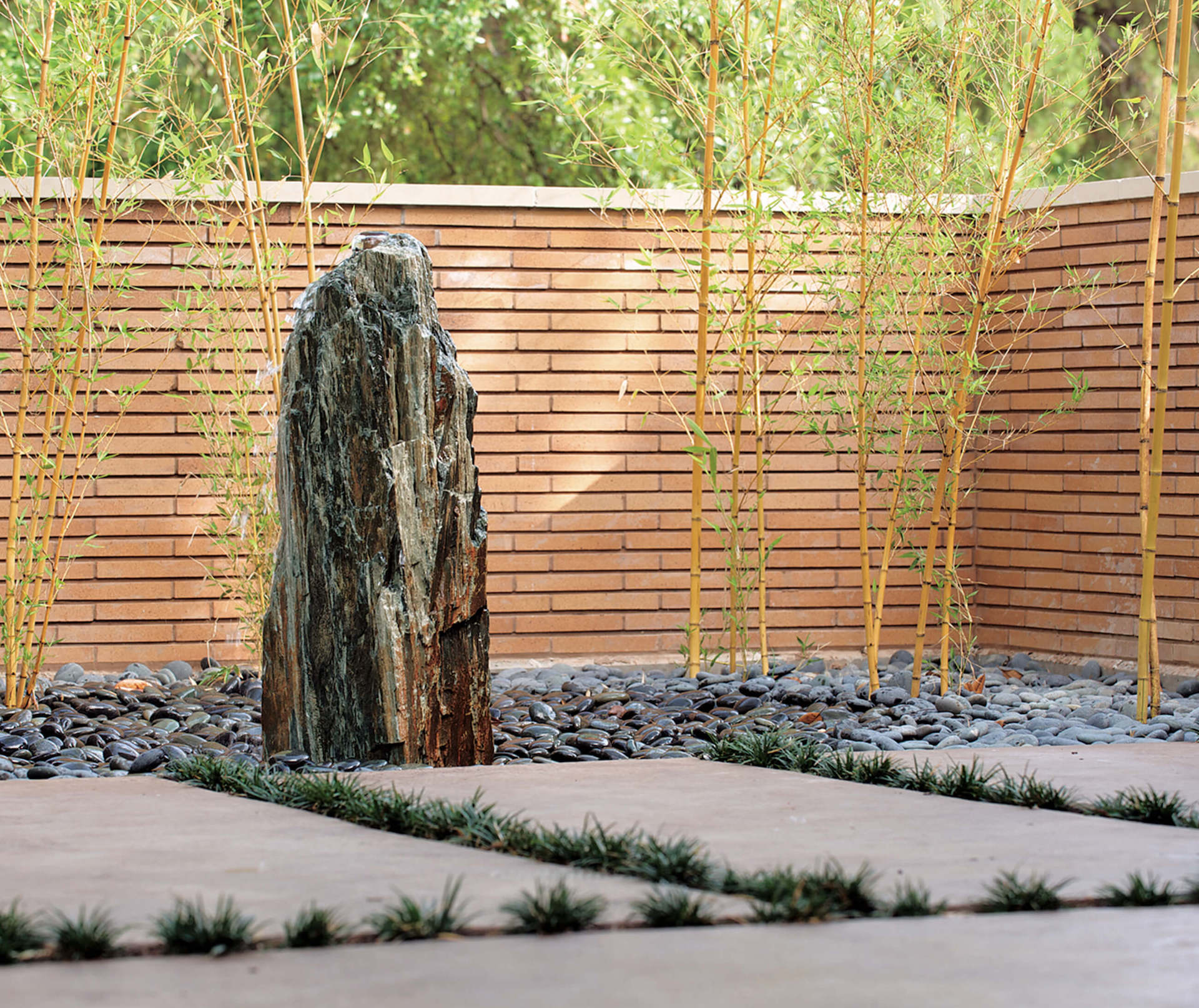 Using colorful foliage as a focal point in a design