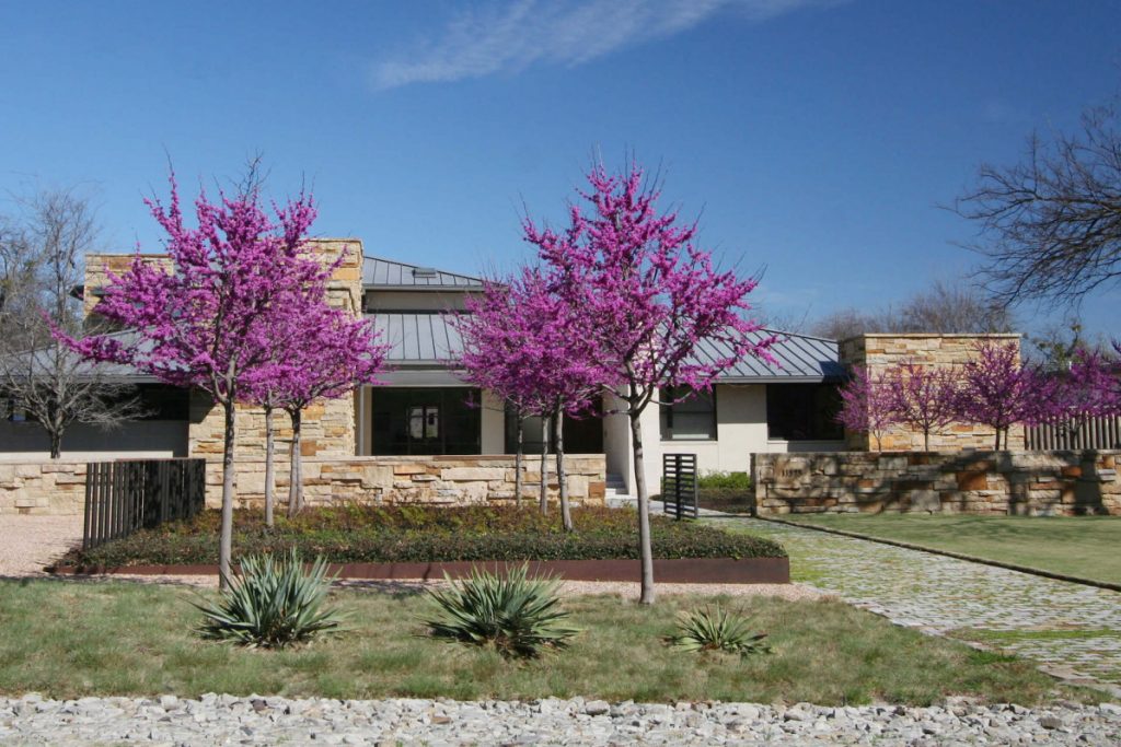 Using colorful foliage as a focal point in a design
