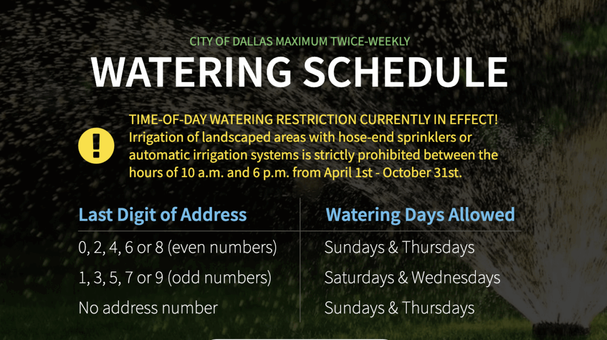 Dallas water conservation watering schedule
