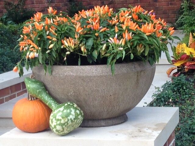 Bonick Landscaping creates seasonal fall color displays like this one of pumpkins, gourds and flowers.