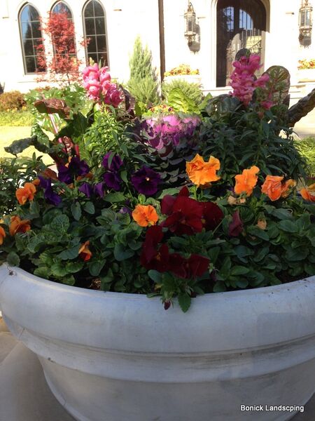 Container with pansies and other fall flowers.
