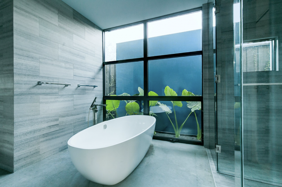 Bath overlooking Alocasia architectural wall