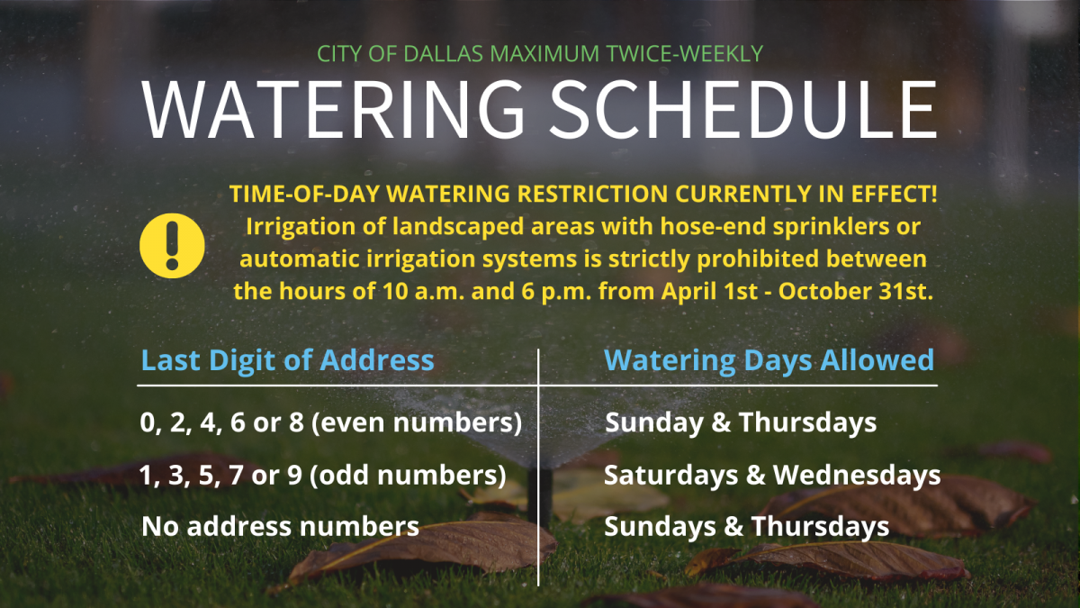 City of Dallas Watering Schedule