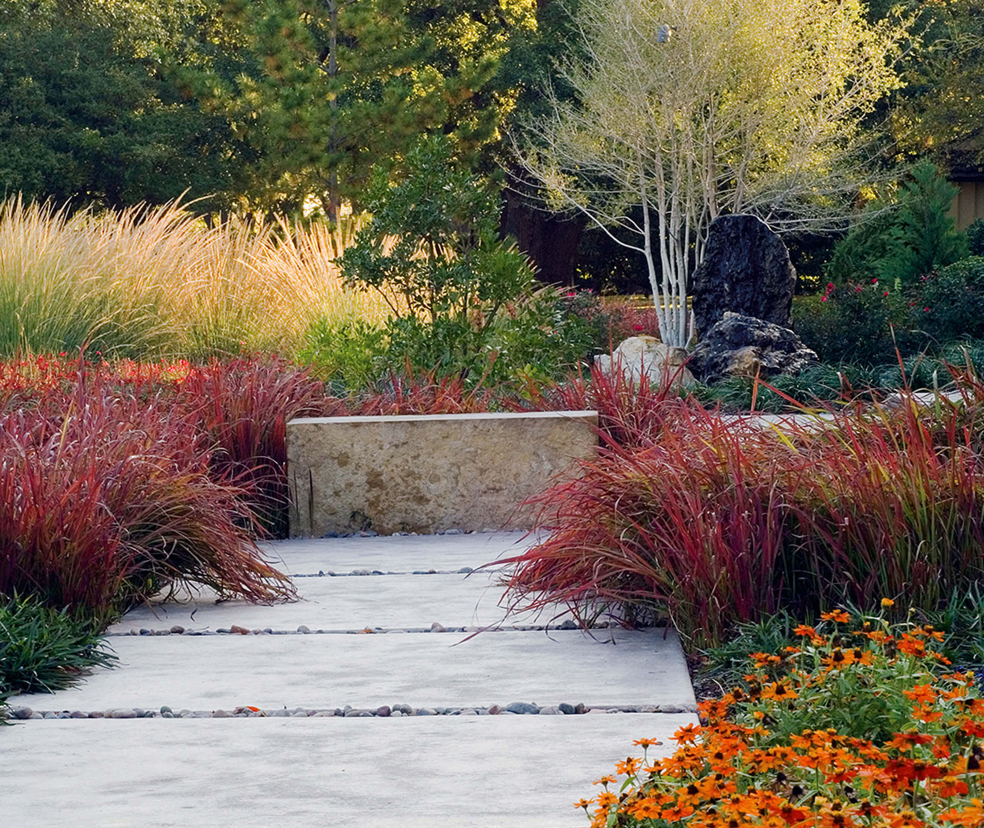 Ursula fall color