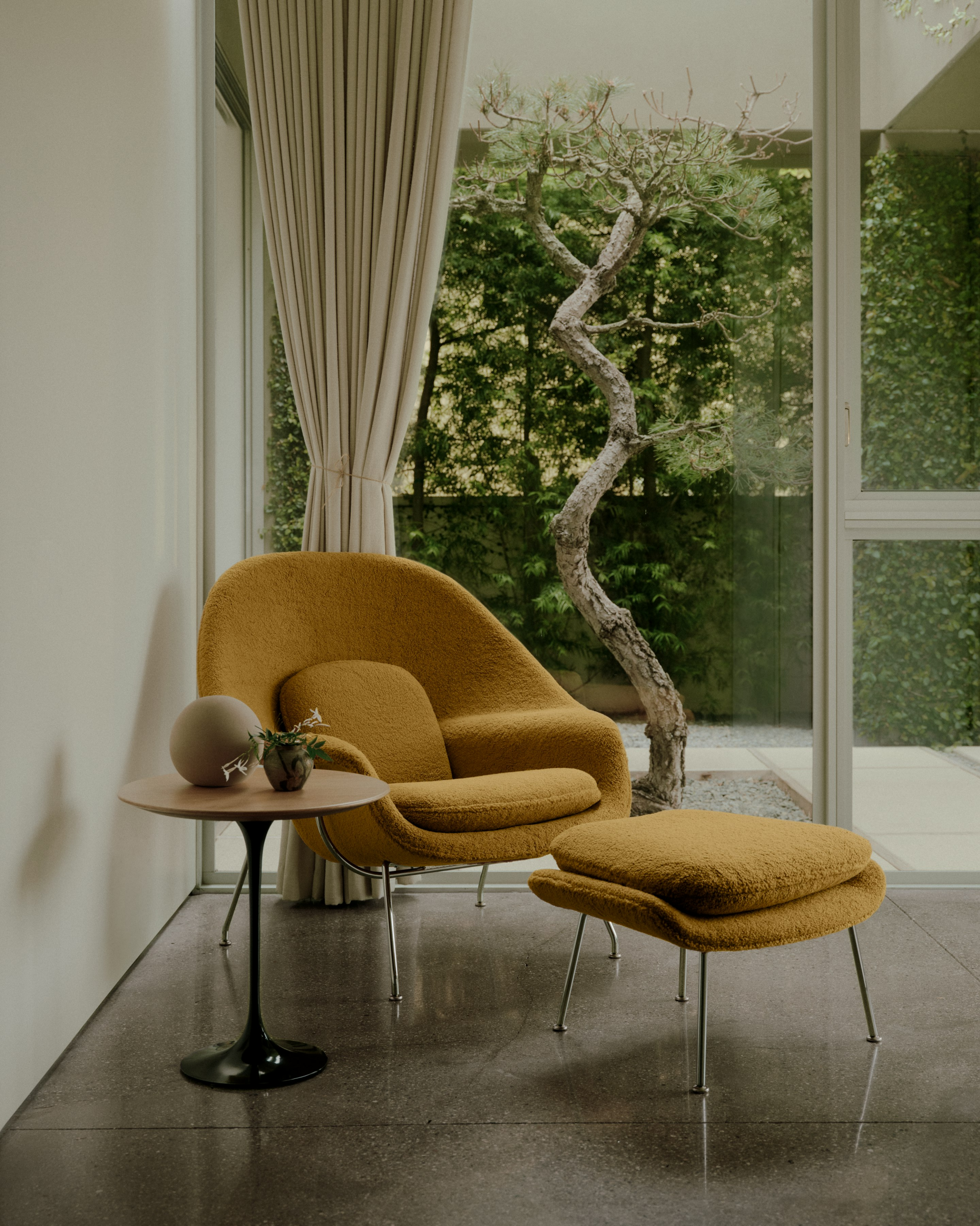 Womb Chair, Standard | Knoll