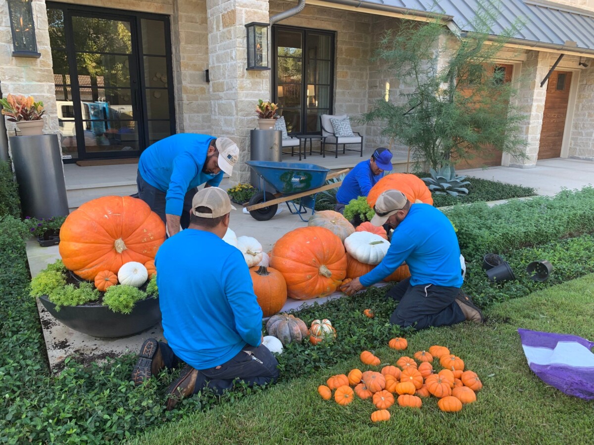 fall pumpkin installation