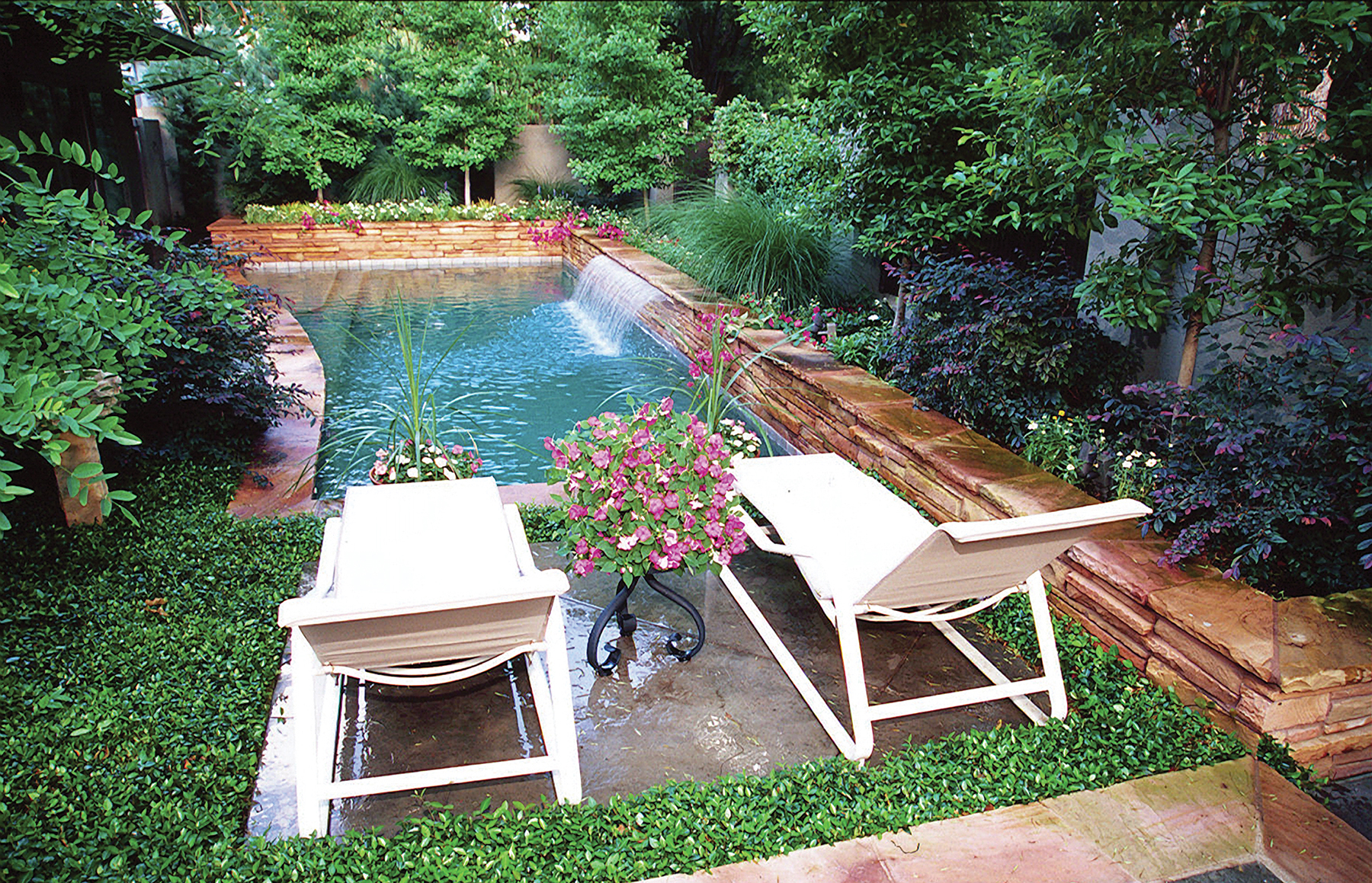 Small pool called a plunge pool or spool surrounded by lush landscaping in an urban backyard.