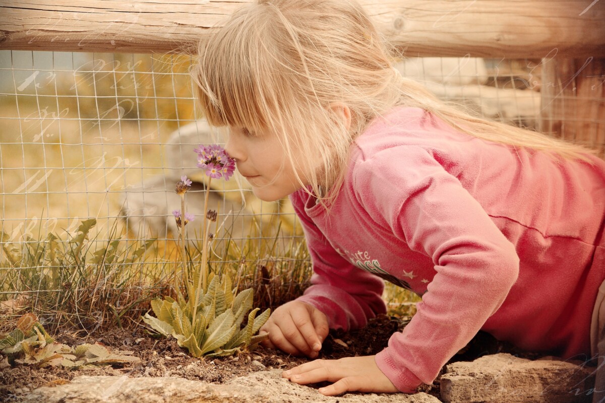 child smelling flower