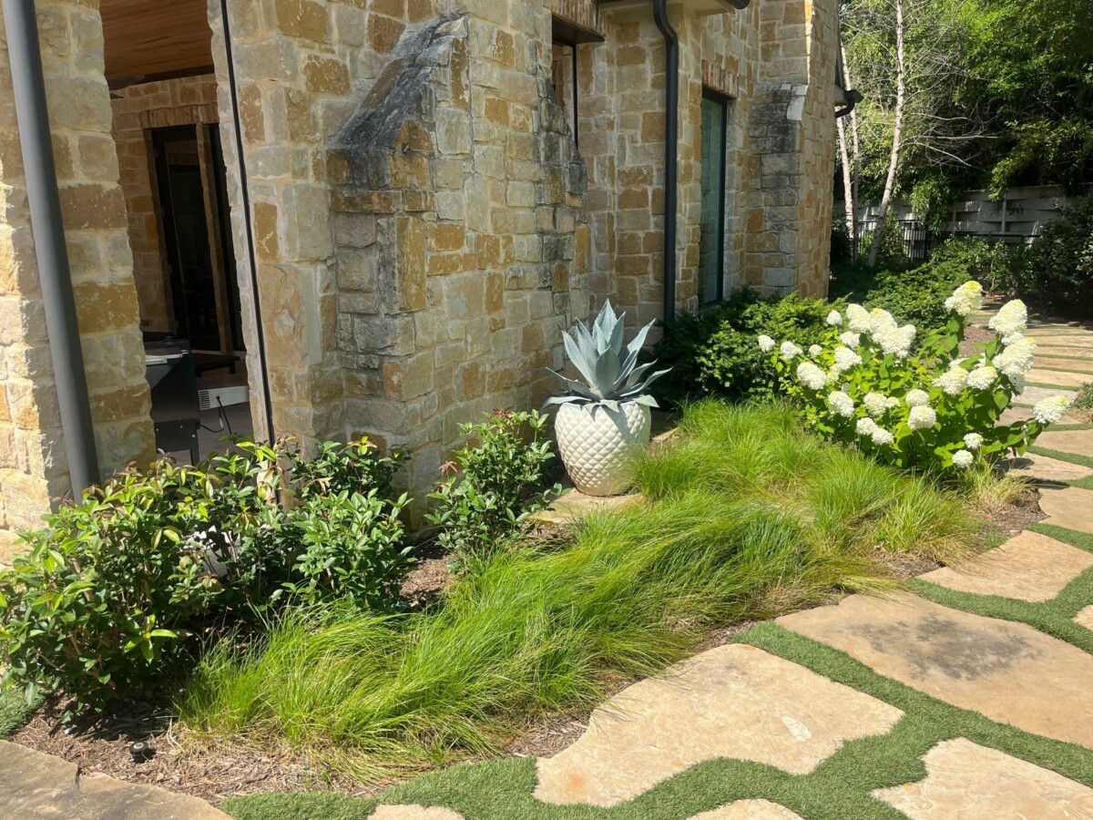 Hill country meadow landscape