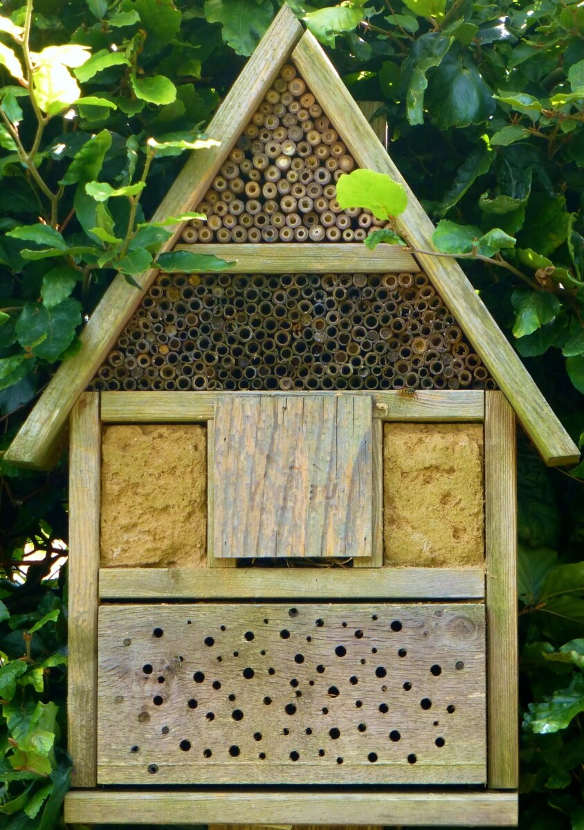 bee block for pollinator garden
