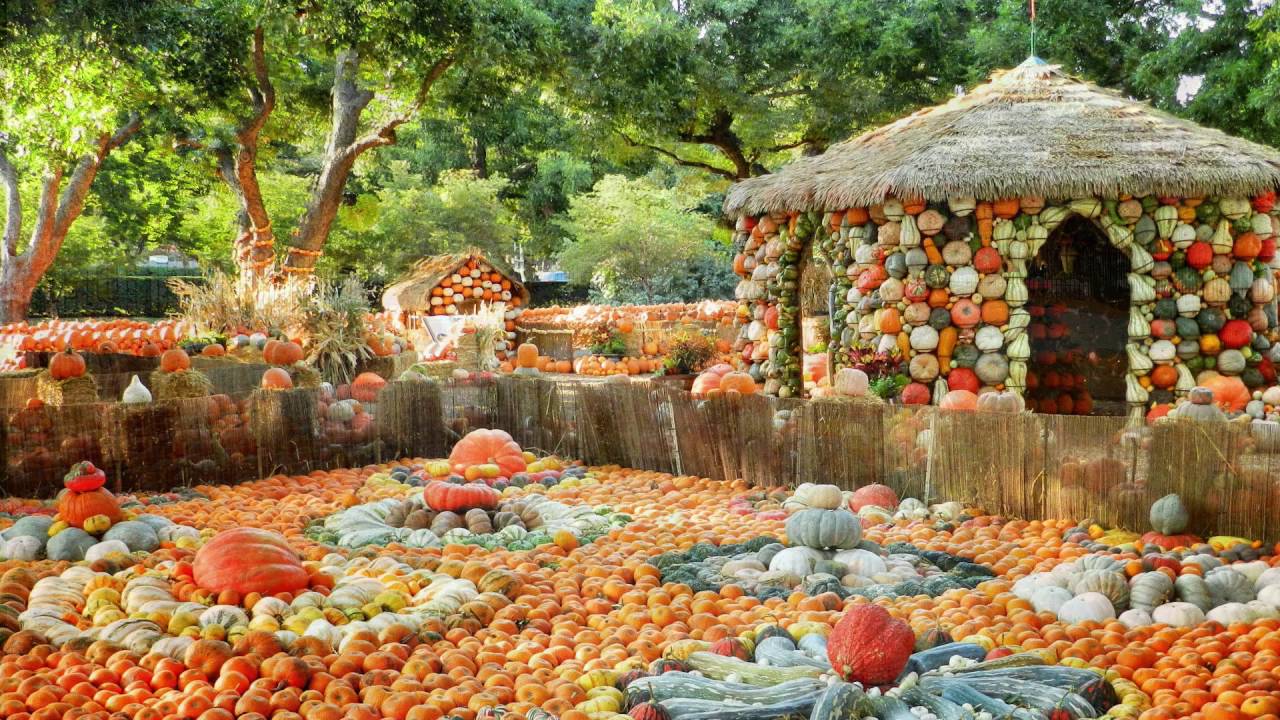Autumn at the Arboretum | Dallas Arboretum and Botanical Garden