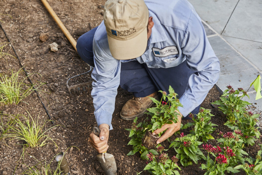 planting seasonal color installations