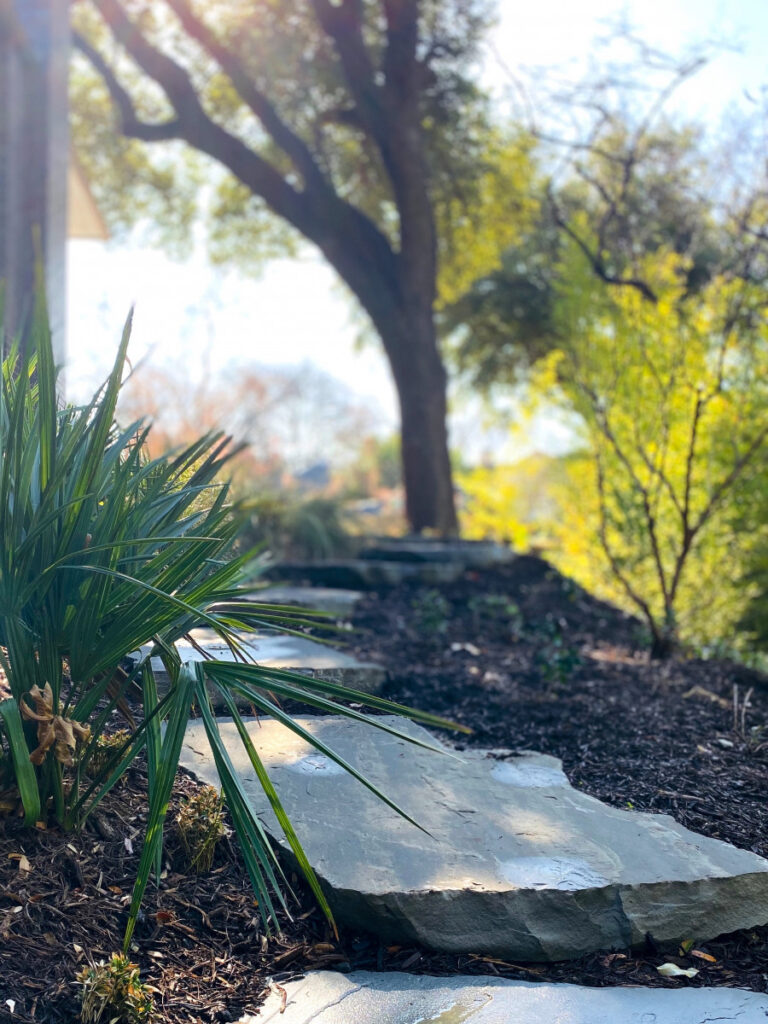 Litman planting detail